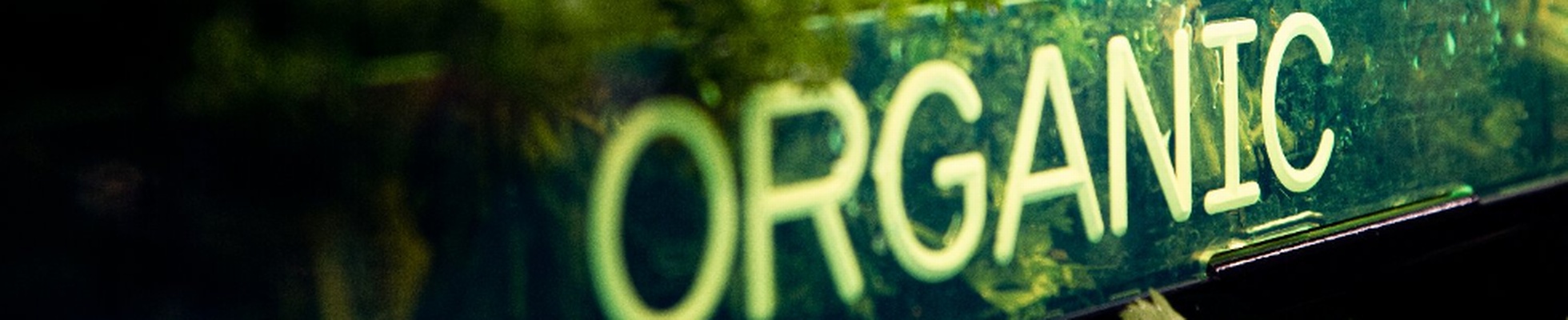 Company banner showing Visual Corporation branding