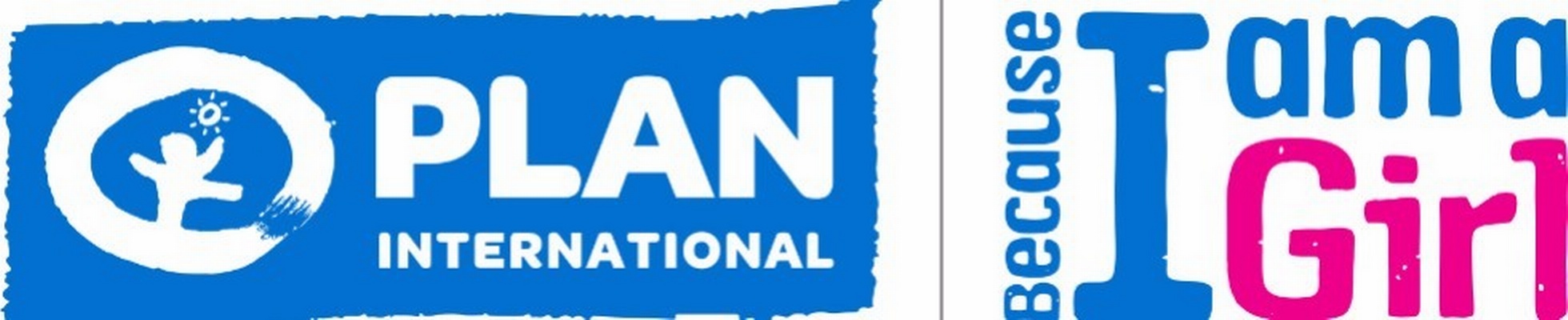 Company banner showing Visual Corporation branding