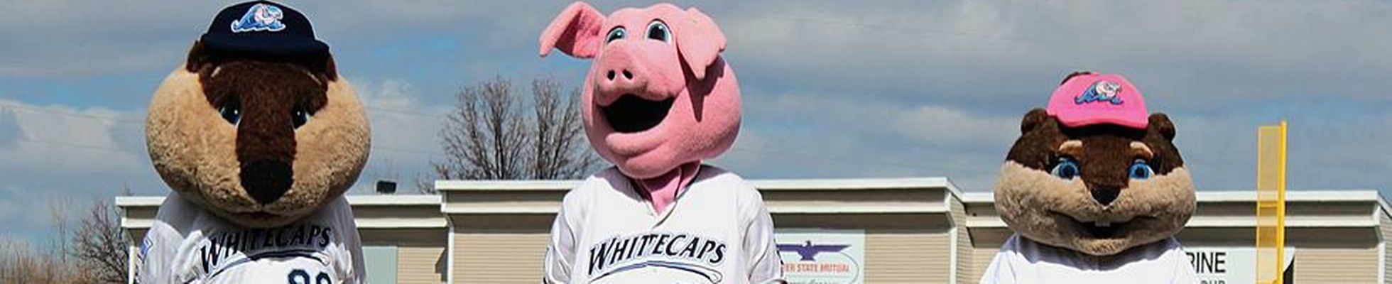 Whitecaps sales baseball jobs