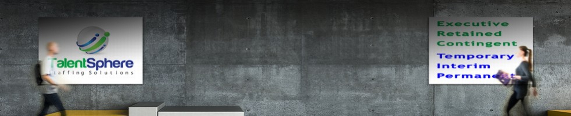 Company banner showing Visual Corporation branding