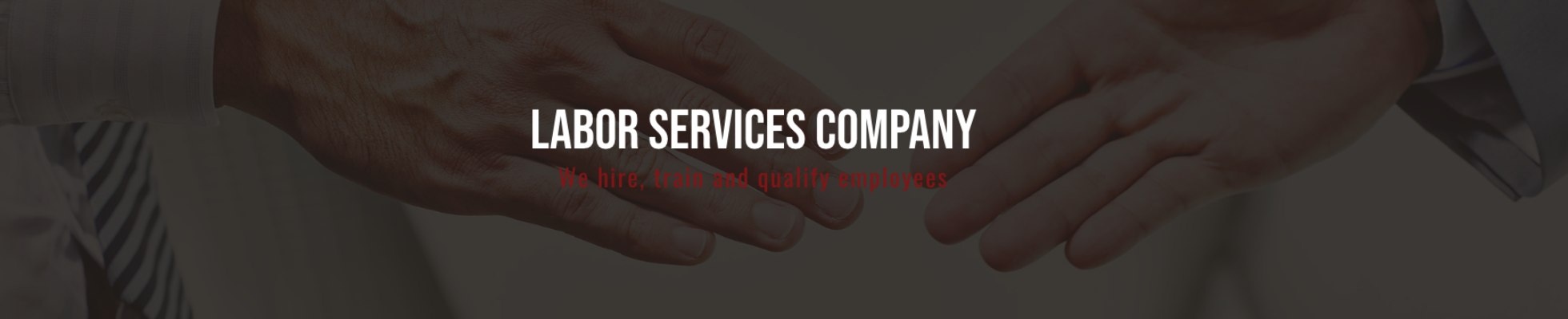 Company banner showing Visual Corporation branding