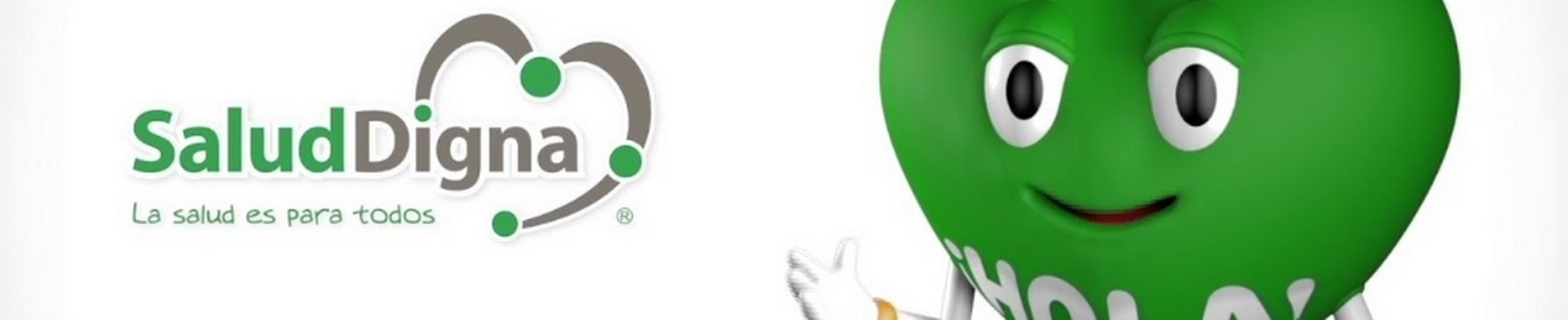 Company banner showing Visual Corporation branding