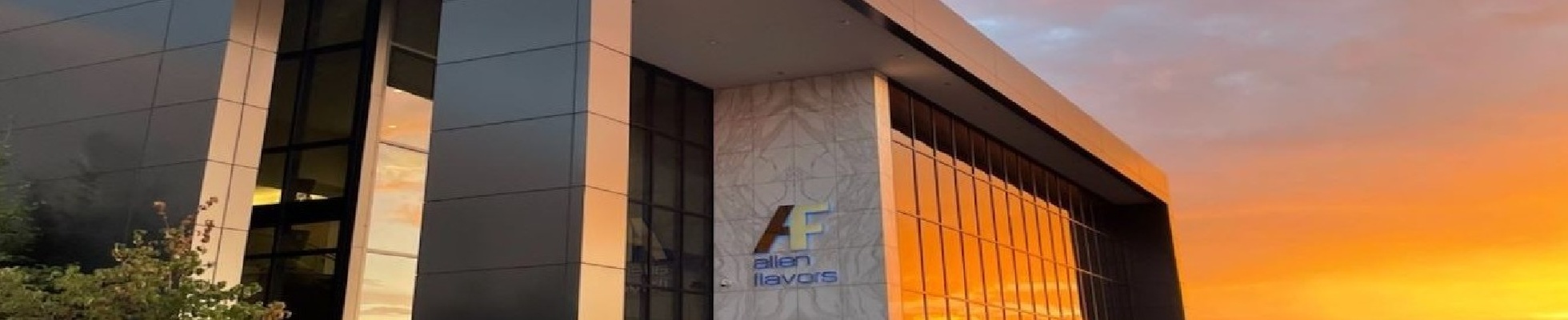 Company banner showing Visual Corporation branding