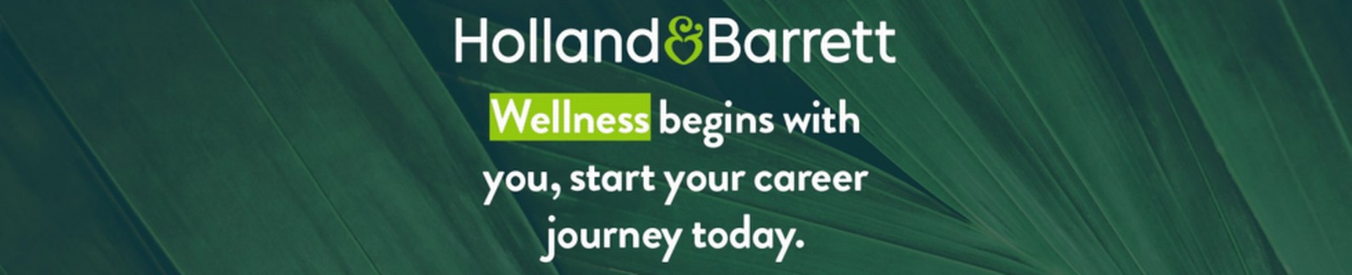 Company banner showing Visual Corporation branding