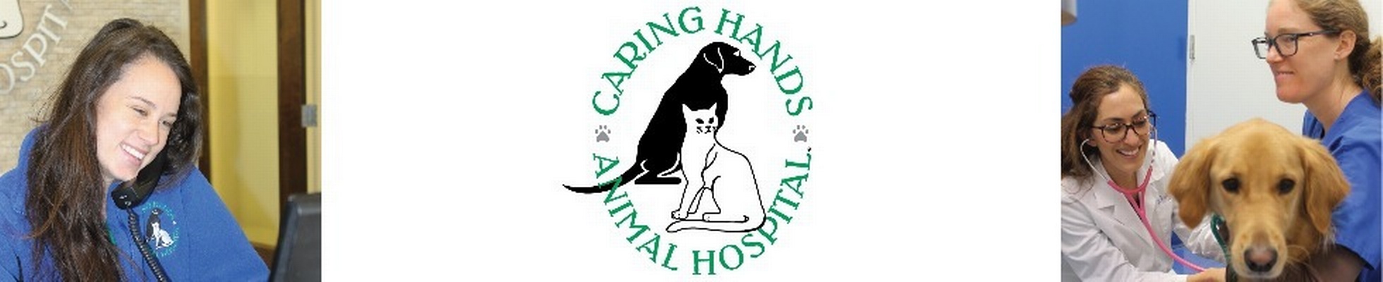 Hosxp Icu Paperless Jobs Employment - 7007d58ec4cdb2d0146a08130f26aee4