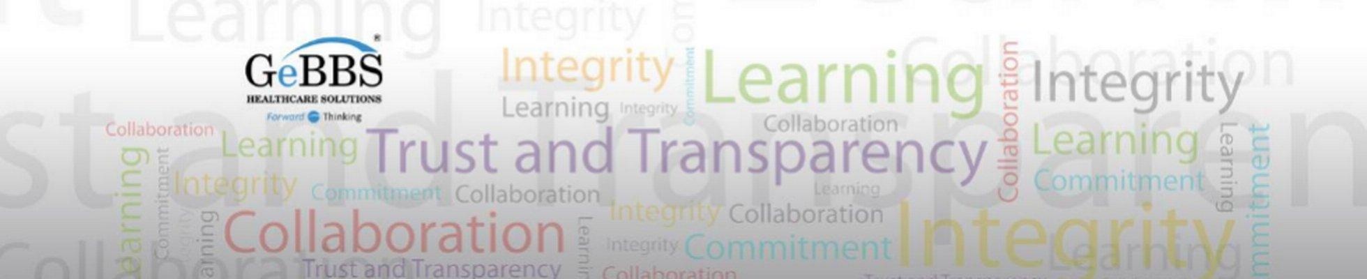 Company banner showing Visual Corporation branding