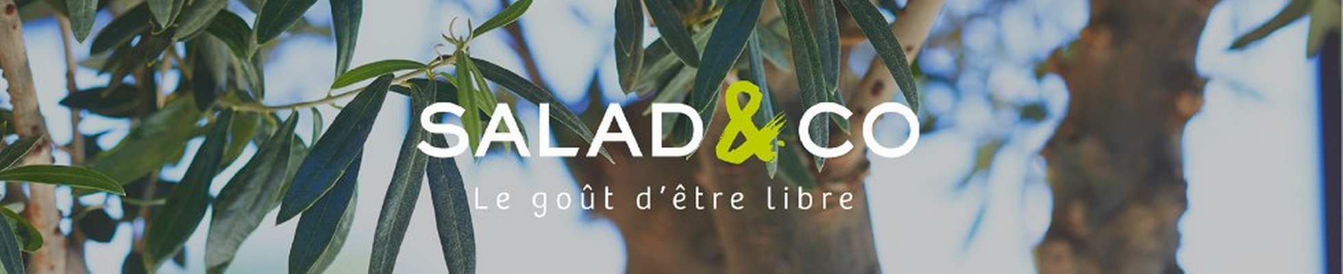 SALAD&CO logo