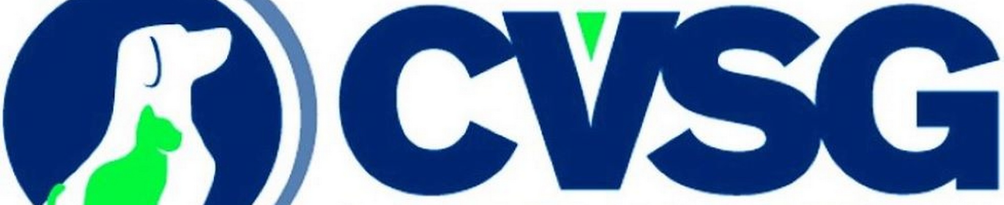 Company banner showing Visual Corporation branding