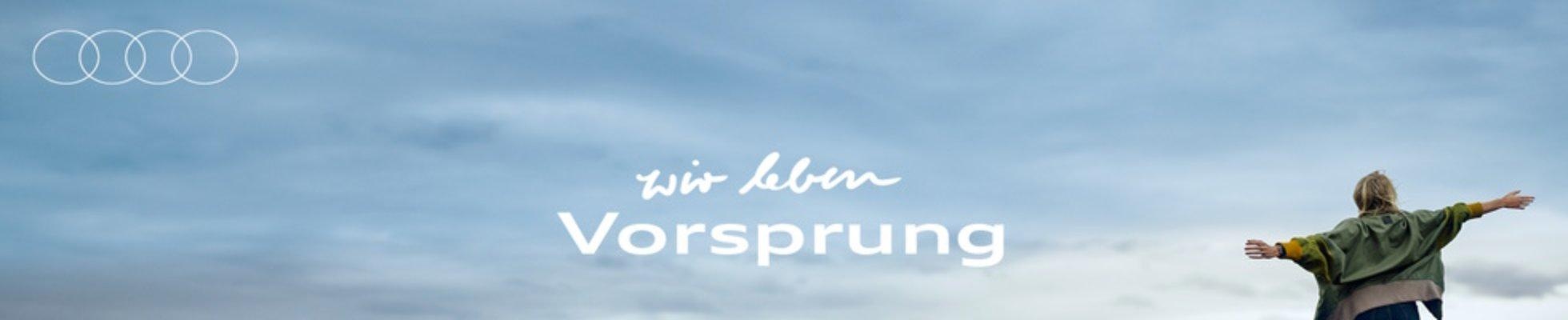 Company banner showing Visual Corporation branding