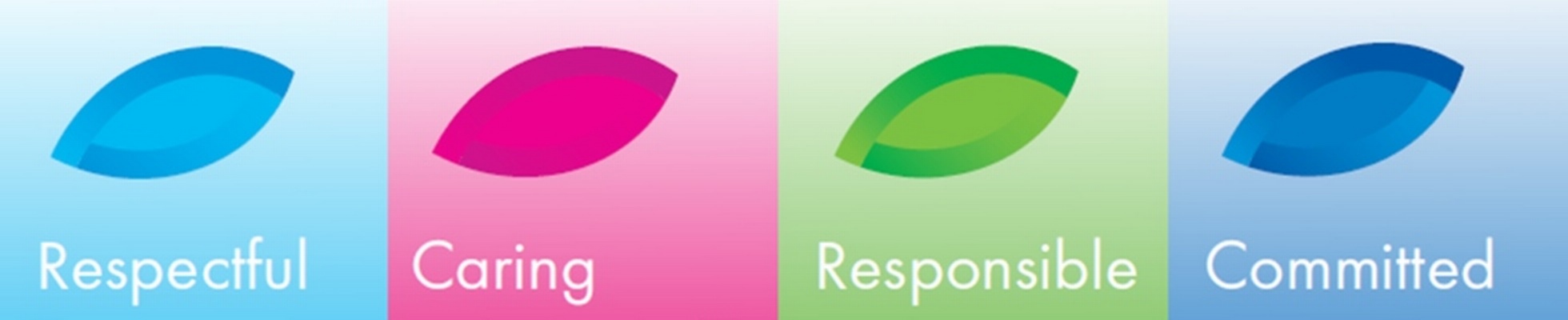 Company banner showing Visual Corporation branding
