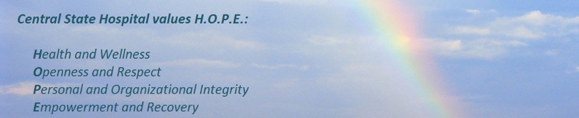 Company banner showing Visual Corporation branding