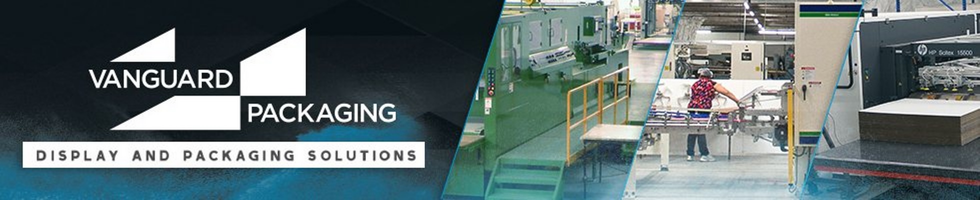 Company banner showing Visual Corporation branding
