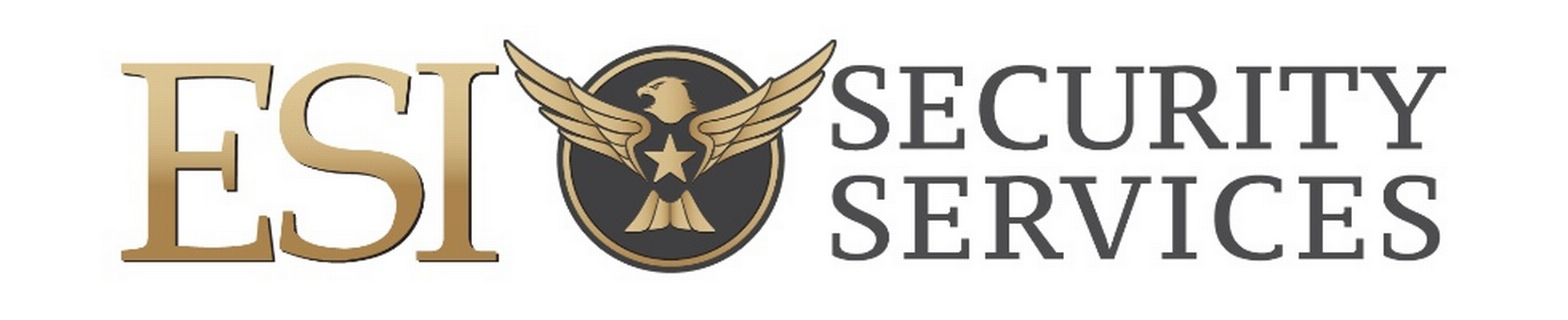 Company banner showing Visual Corporation branding
