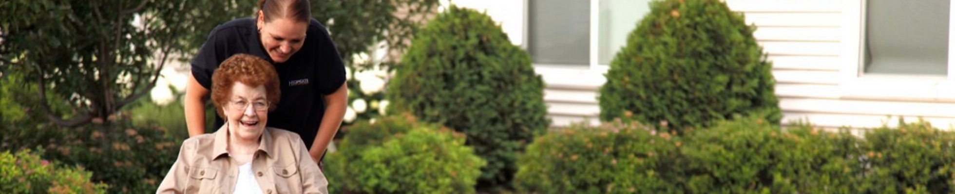 Company banner showing Visual Corporation branding