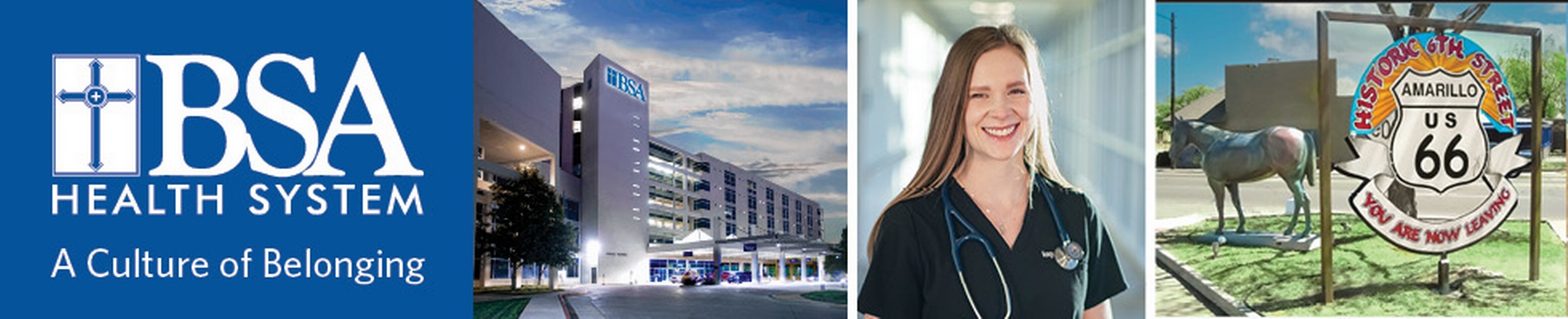 Bsa Jobs, Employment in Amarillo, TX | Indeed.com