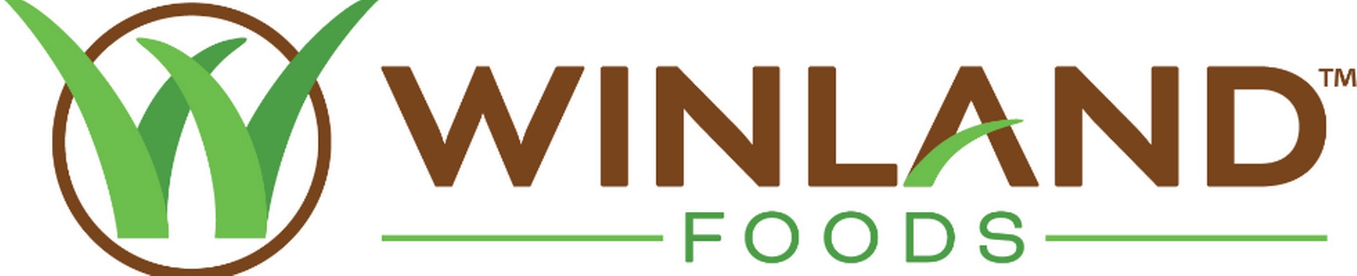 Company banner showing Visual Corporation branding