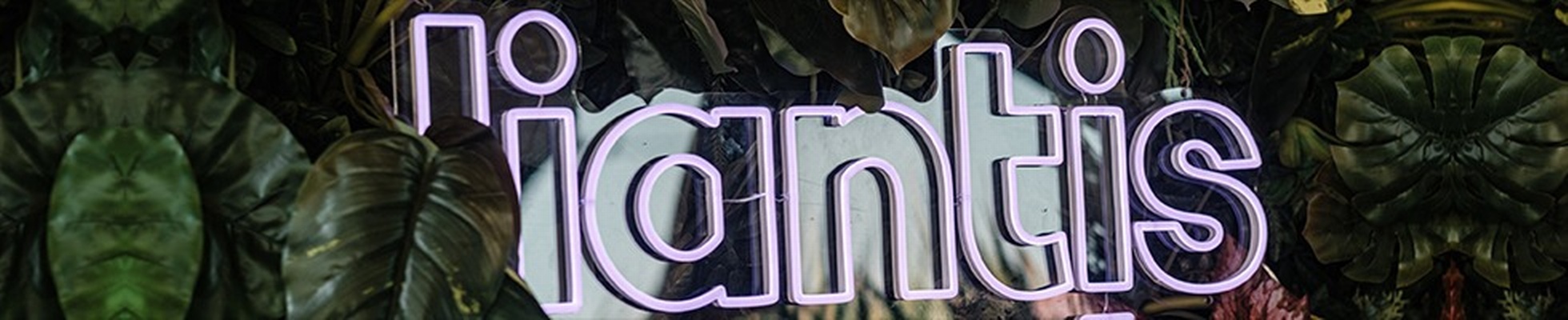 Liantis logo