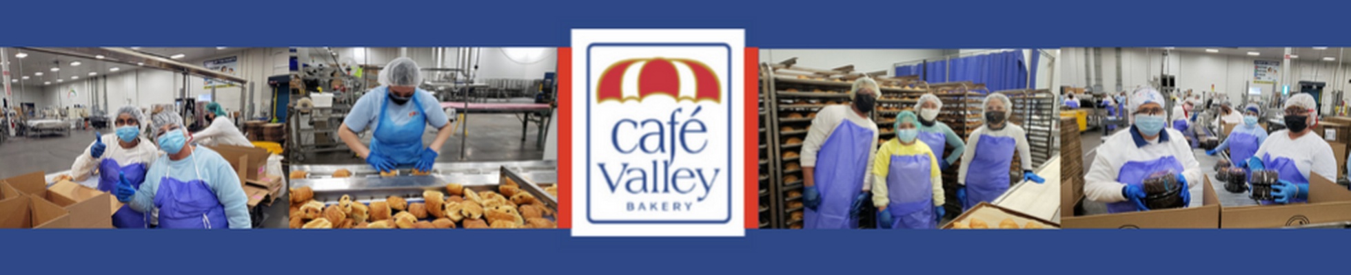 Company banner showing Visual Corporation branding