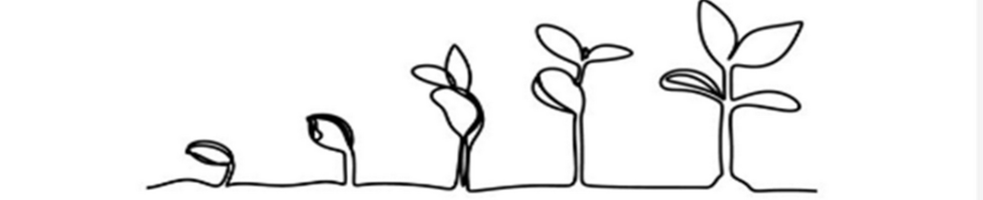 Company banner showing Visual Corporation branding