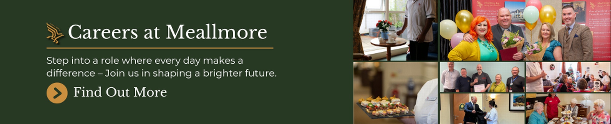 Meallmore logo