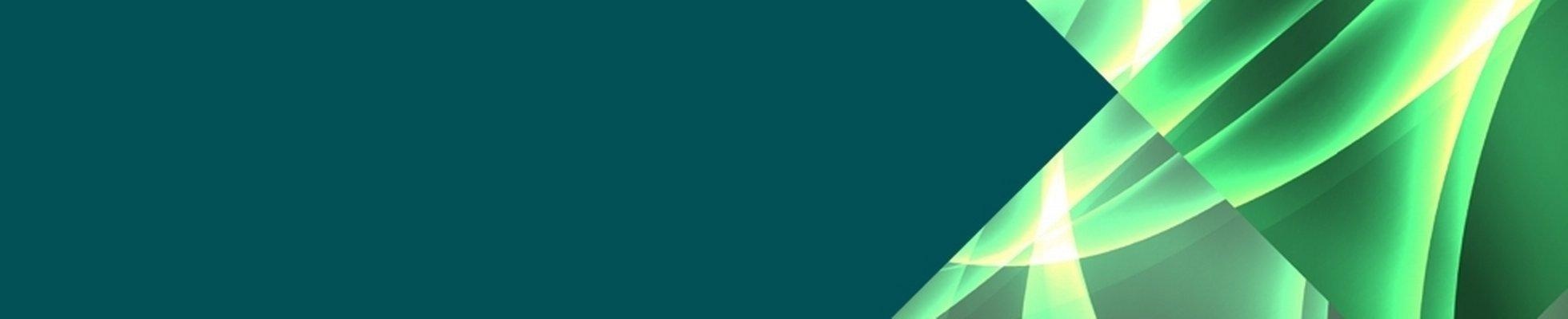 Company banner showing Visual Corporation branding