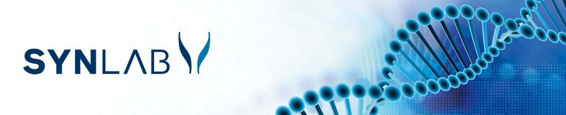 Company banner showing Visual Corporation branding