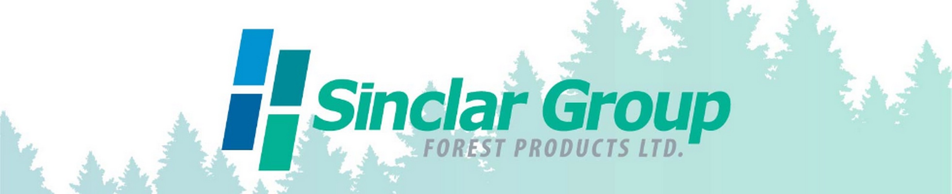 Company banner showing Visual Corporation branding