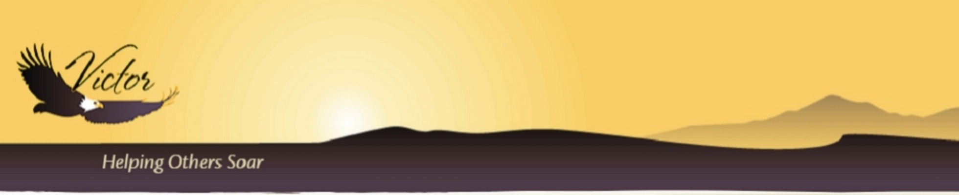 Company banner showing Visual Corporation branding