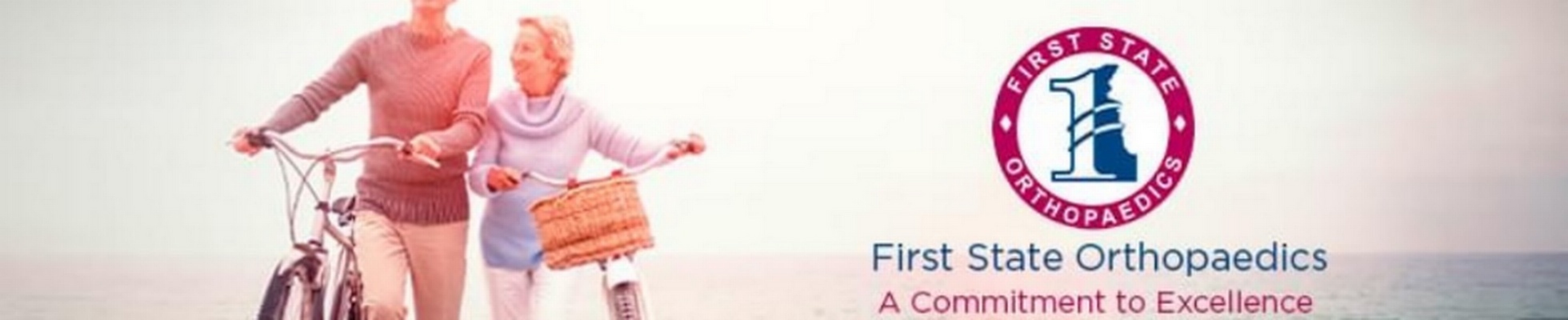 Company banner showing Visual Corporation branding