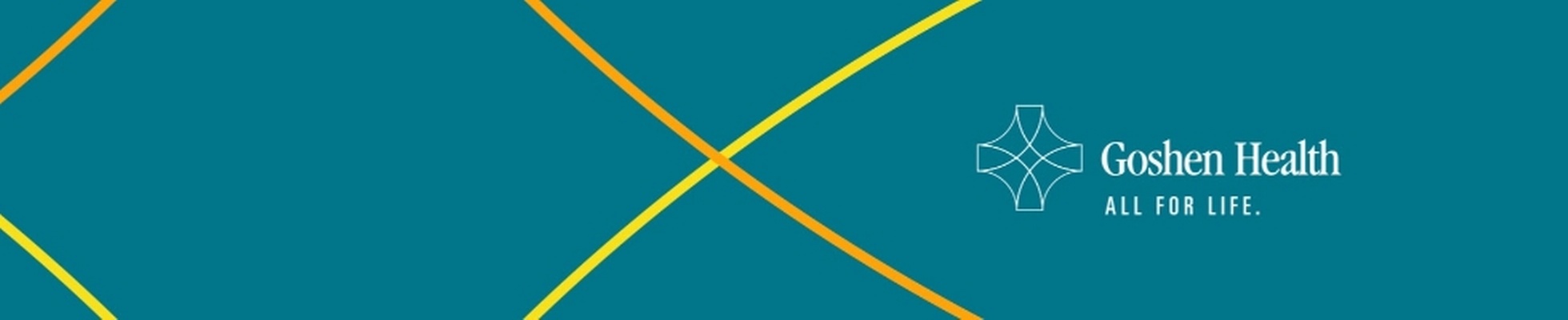 Company banner showing Visual Corporation branding