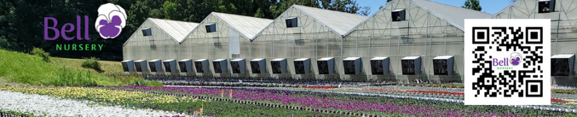Company banner showing Visual Corporation branding
