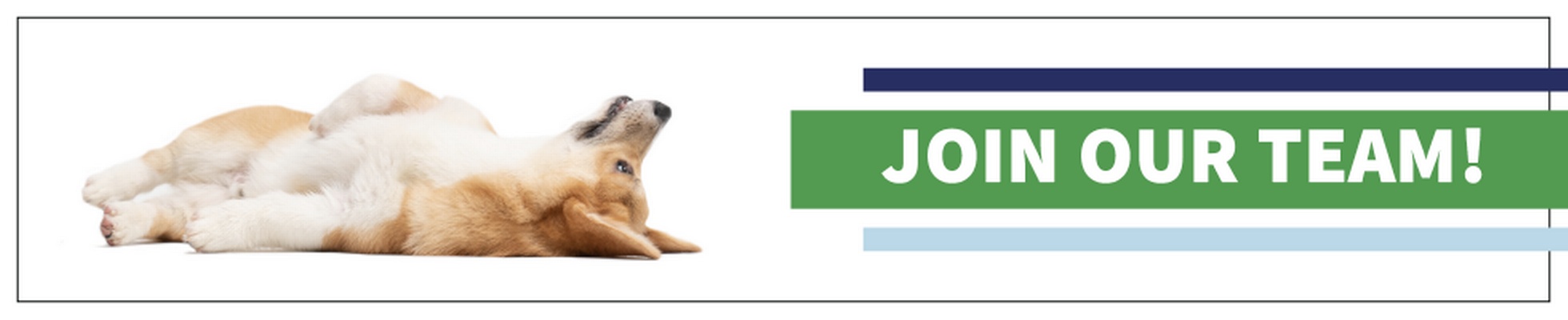 Resume Samples For Free Jobs Employment - 781d70d367744ec1ce55bd96c0ea4eb8