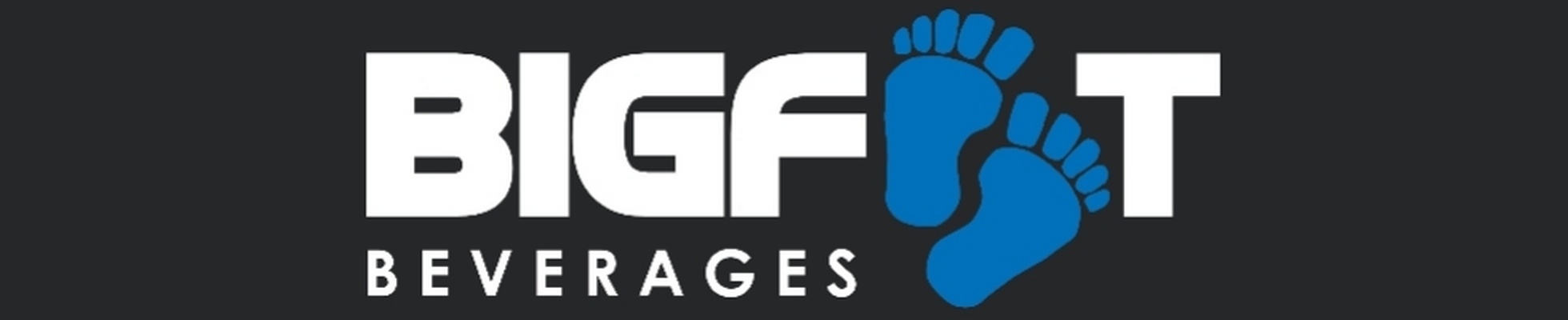 Company banner showing Visual Corporation branding