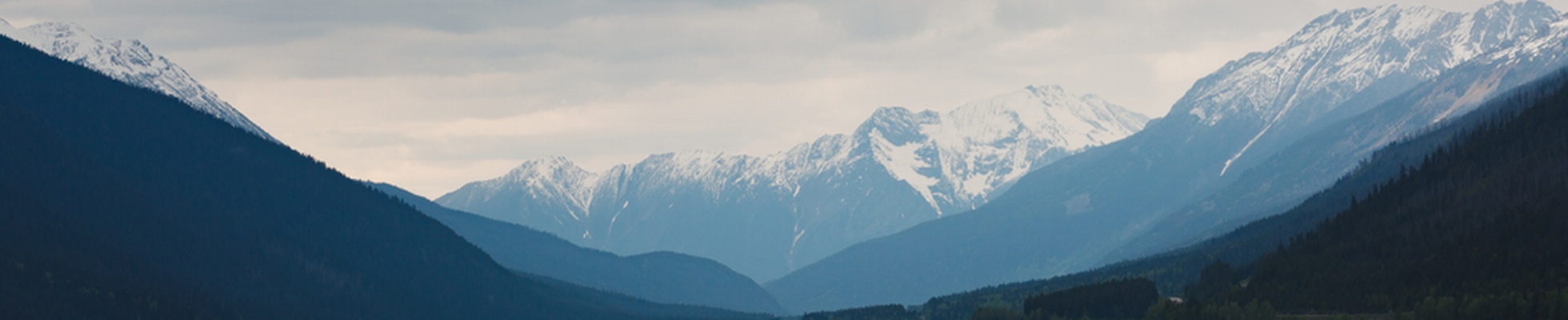 Company banner showing Visual Corporation branding