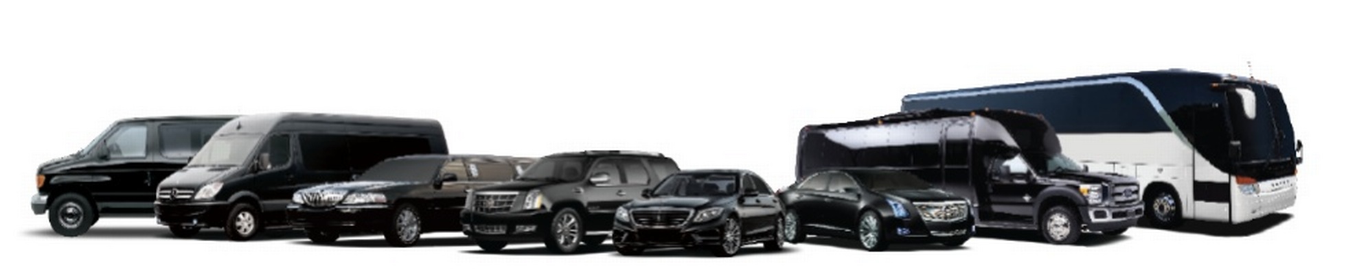 Company banner showing Visual Corporation branding
