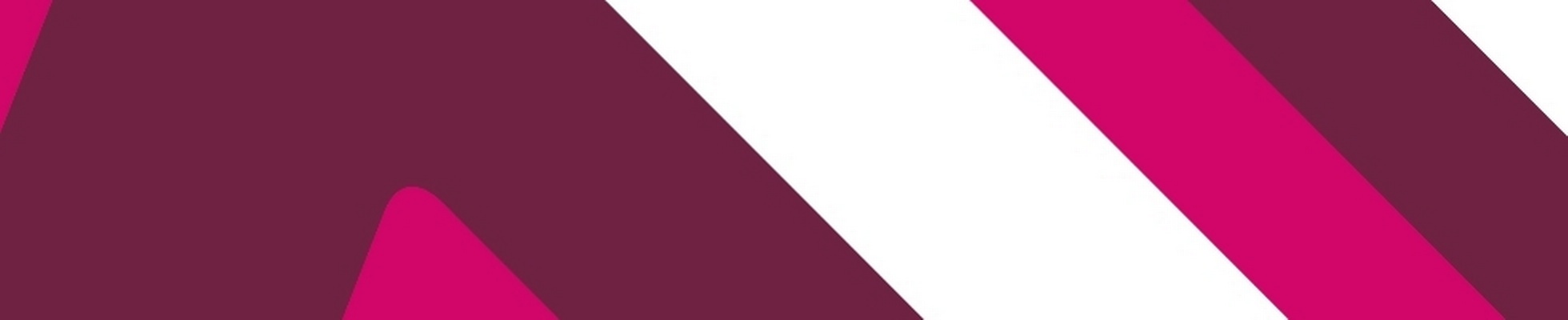 Company banner showing Visual Corporation branding