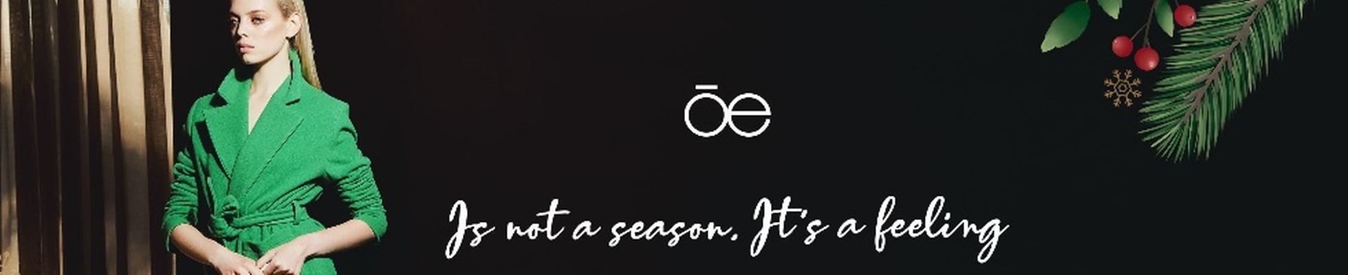 Company banner showing Visual Corporation branding