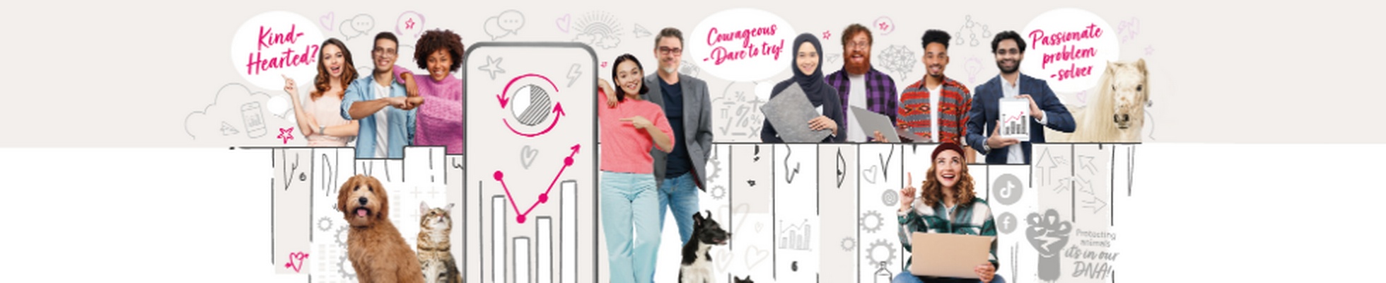 Company banner showing Visual Corporation branding