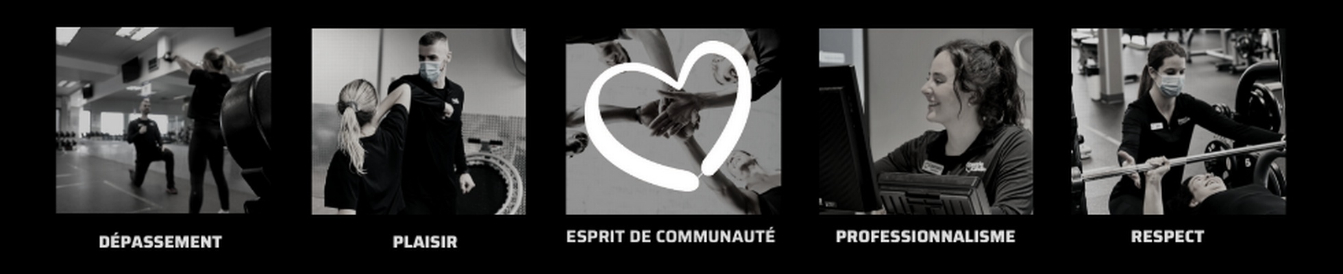 Company banner showing Visual Corporation branding
