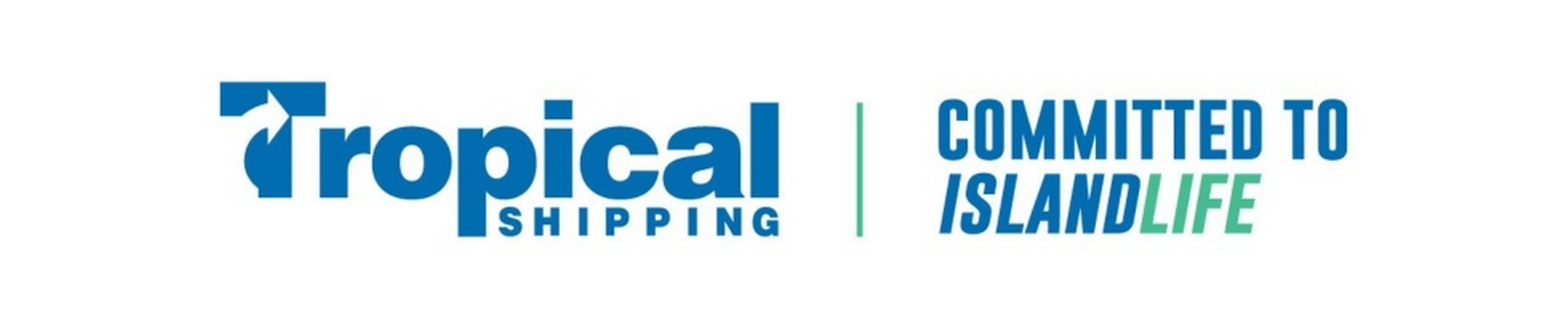 Company banner showing Visual Corporation branding