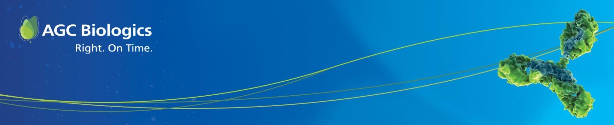 Company banner showing Visual Corporation branding