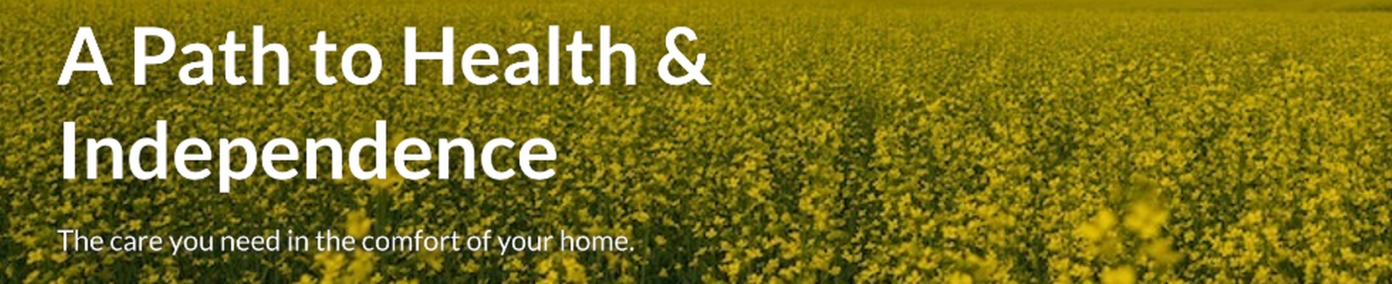 Company banner showing Visual Corporation branding