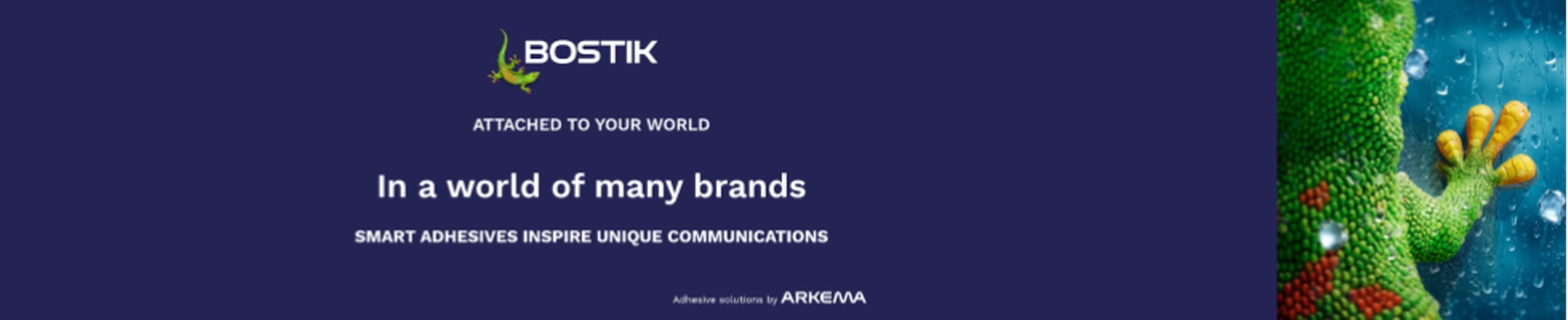 Company banner showing Visual Corporation branding