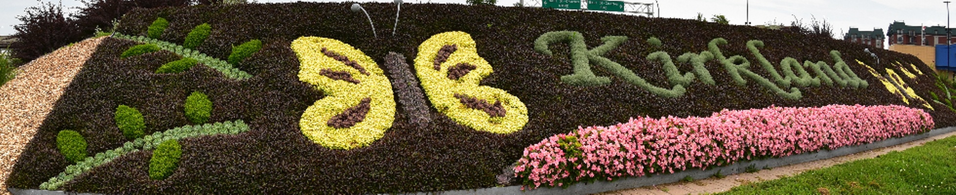 Company banner showing Visual Corporation branding