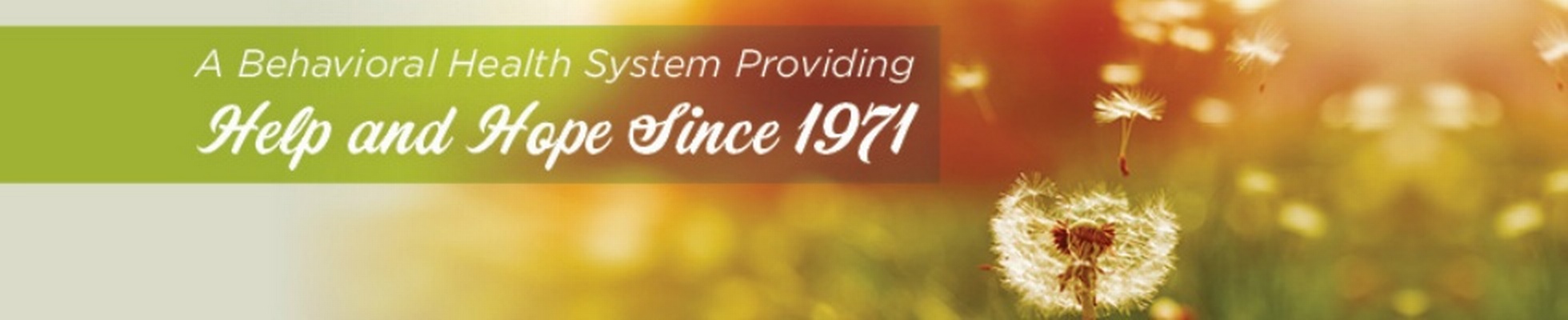 Company banner showing Visual Corporation branding