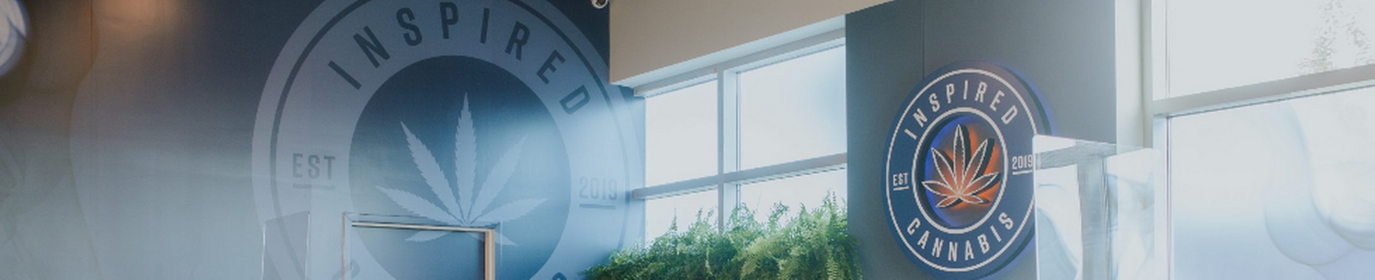 Company banner showing Visual Corporation branding