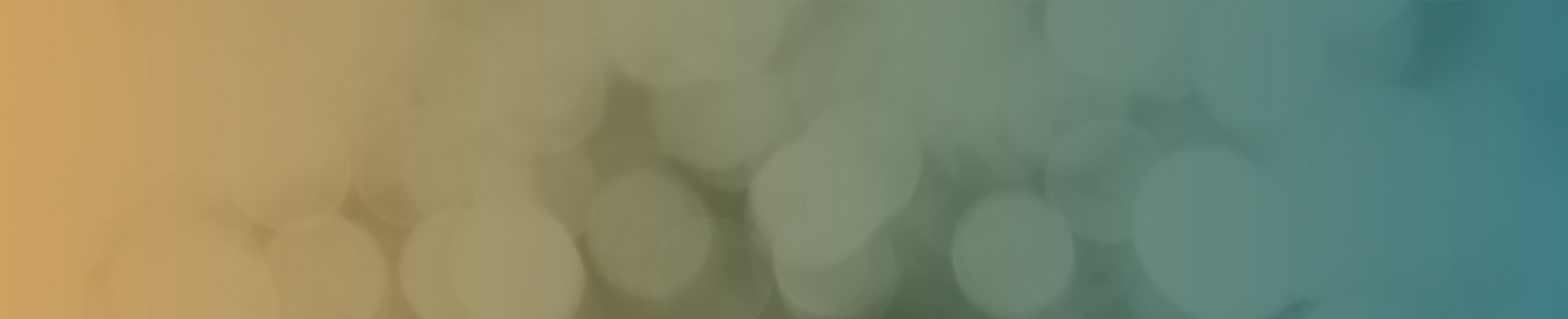 Company banner showing Visual Corporation branding