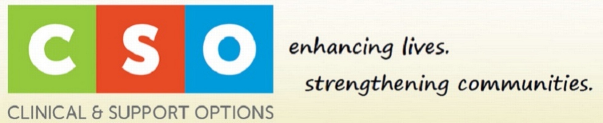 Company banner showing Visual Corporation branding