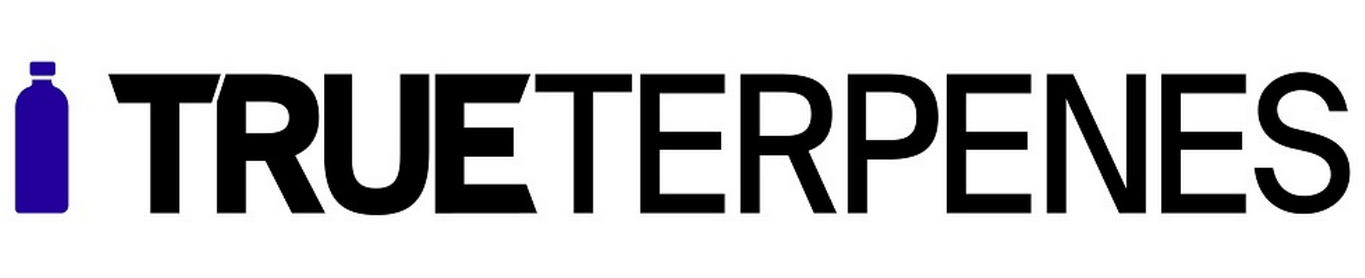 Company banner showing Visual Corporation branding