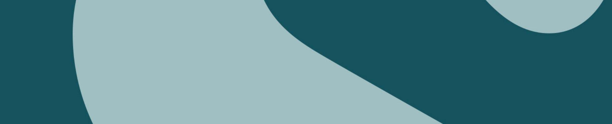 Company banner showing Visual Corporation branding